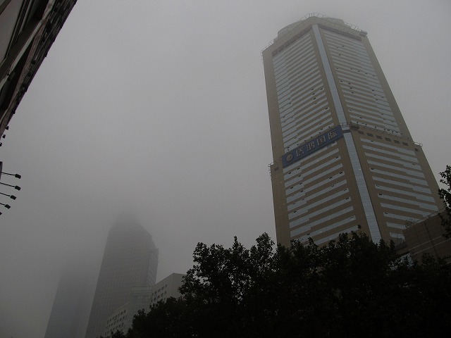 20111118_fog_s.jpg